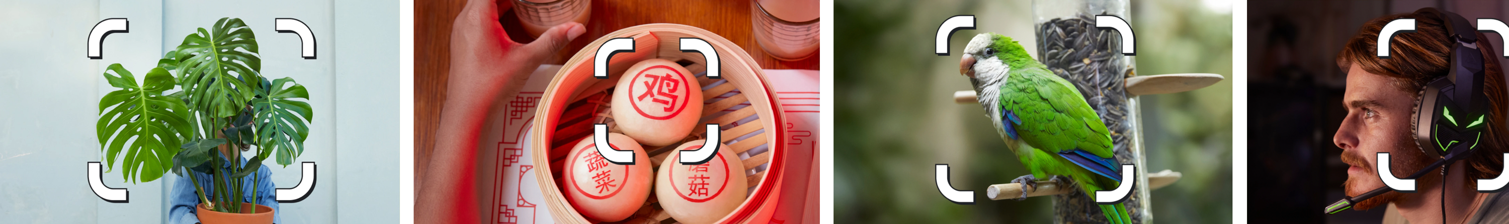 intro-FTT-divider-01-1